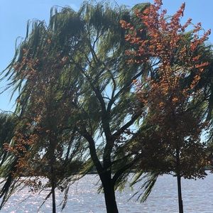 Meet your Posher, Mariah